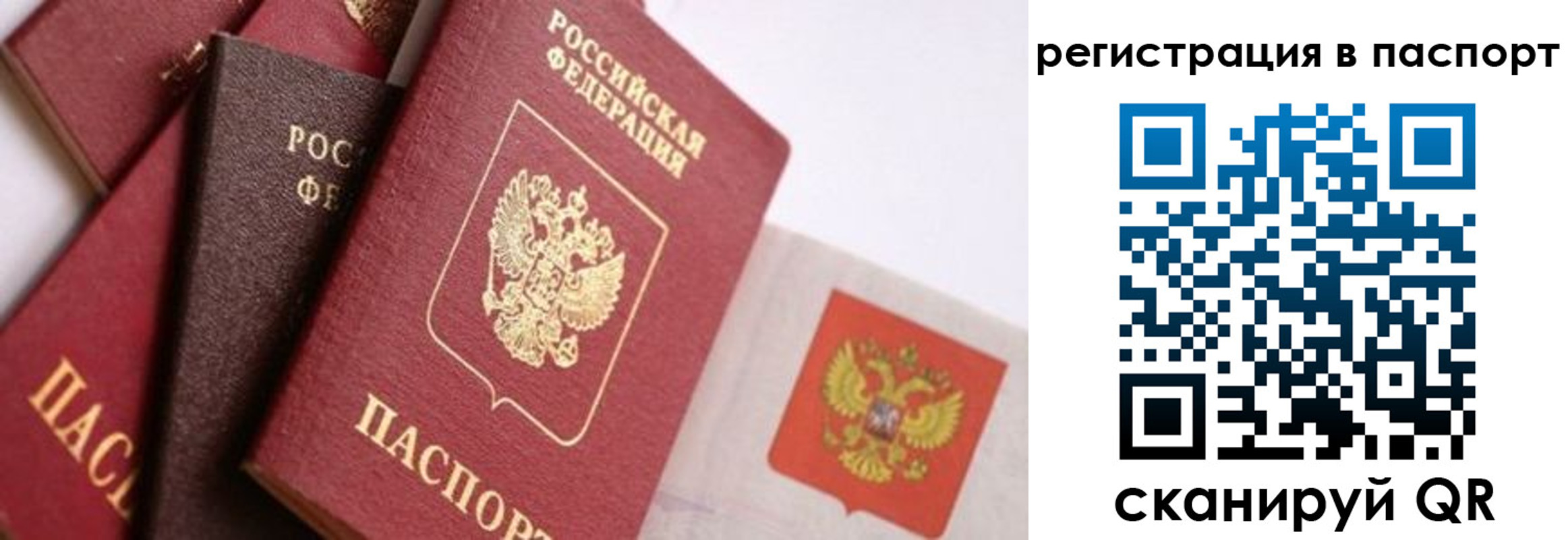 прописка в квартире в Чехове
